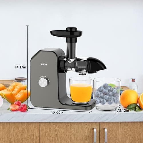 Slow Juicer 5