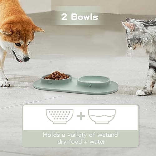 Dog Food Bowls Pet Bowls & Dog Water Bowls with No-Spill and Non-Skid, Feeder Bowls with Dog Bowl Mat for Small Medium Large Size Dogs Cats Puppy Pets, Dog Dishes (Green) 6