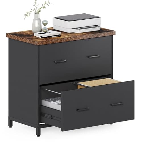 LITTLE TREE 2 Drawer File Cabinet for Home Office, 30.7-Inch Lateral Office Cabinet for A4 and Letter Size Files, Printer Stand, Storage Cabinet Organizer, Rustic Brown + Black