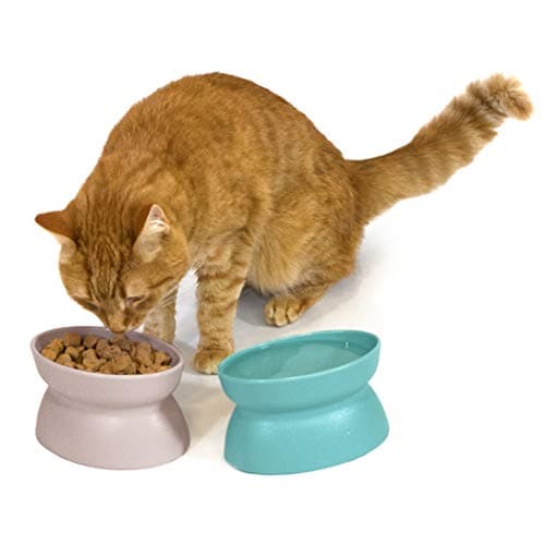 Kitty City Elevated Cat Bowls (Set of 2), Whisker-Friendly Raised Cat Food & Water Dishes, Modern Pedestal Design, Dishwasher Safe, 6.5 oz Each – Teal & Light Pink 5