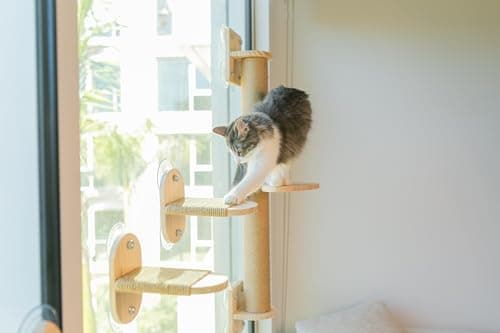 Pet Savvy 4-in-1 Window & Wall Mount Cat Wall Shelves – Hammock, Scratching Post & Perch | Fits up to 40 lbs | Space-Saving Pet Furniture for Windows, Glass & Drywall | Modern Wood Cat Shelf Set 8