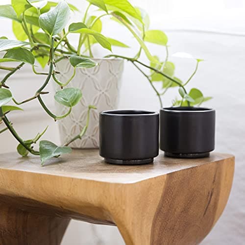 Fellow Monty Milk Art Espresso Cups - Small Double Wall Ceramic Demitasse, Matte Black with Graphite Base, 3 oz Cup (Set of 2) 8