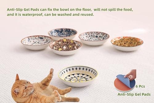 6 PCS Cat Food Bowls Whisker Fatigue Kitten Bowl 5.5 Inches Ceramic Cats Bowl Small Cat Dishes for Indoor Cats Shallow Kitten Plates for Wet Food Cute Pet Bowls Whisker Friendly 6