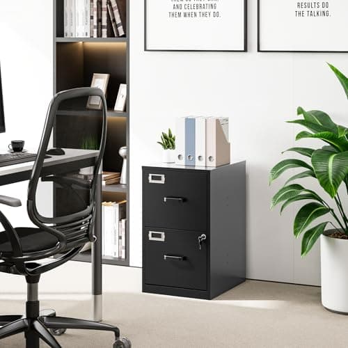 BYNSOE 2 Drawer File Cabinet with Lock Vertical Filing Storage Cabinet Office Home Steel Vertical File Cabinets for Letter Size File Cabinet Locked,Assembly Required 5