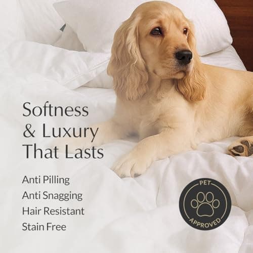 Buffy Cloud Cooling Comforter Queen/Full- White Comforter Queen for Hot Sleepers, Machine Washable Lightweight Fluffy All-Season Temperature-Regulating Eucalyptus Lyocell Duvet Insert 6