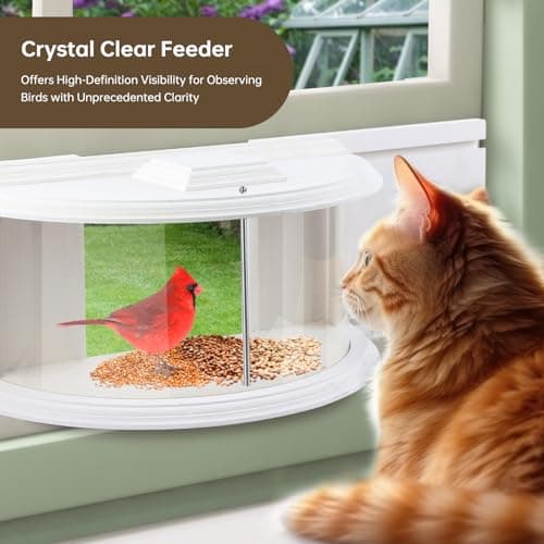 JOYSEUS Window Bird Feeder, 180° Clear View Bird Feeder, Durable and Elegant in-Window Bird Feeder for Watching Birds - Embrace The Delight of Bird Feeder. 7