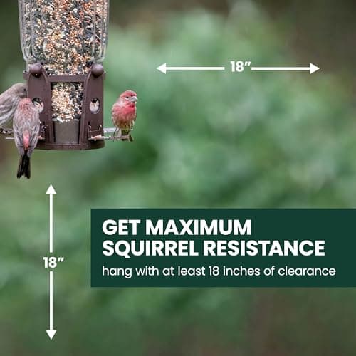 Perky-Pet 334-1SR Squirrel-Be-Gone Max Large Wild Bird Feeder with Flexports, Squirrel Proof Bird Feeder with Weight-Activated Perches - 4LB Seed Capacity 7
