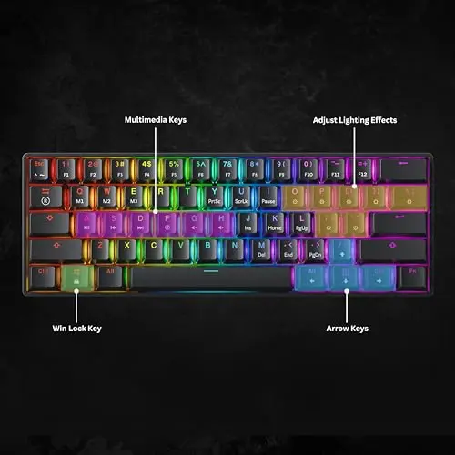 HK GAMING GK61 SE 60% | Mechanical Gaming Keyboard | 61 Keys Multi Color RGB LED Backlit for PC/Mac Gamer | US Layout (Black, Mechanical Blue) 7
