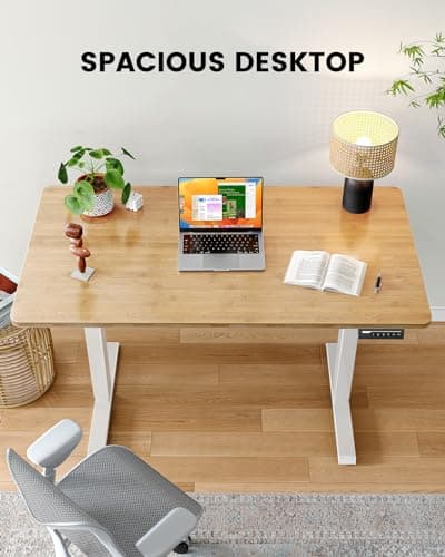 ErGear Whole Piece Standing Desk with Bamboo Desktop, Adjustable Stand Up Desk for Home Office, Electric Computer Desk Workstation with Cable Management Tray, 48x24 inch, Bamboo, EGESD64RB 5