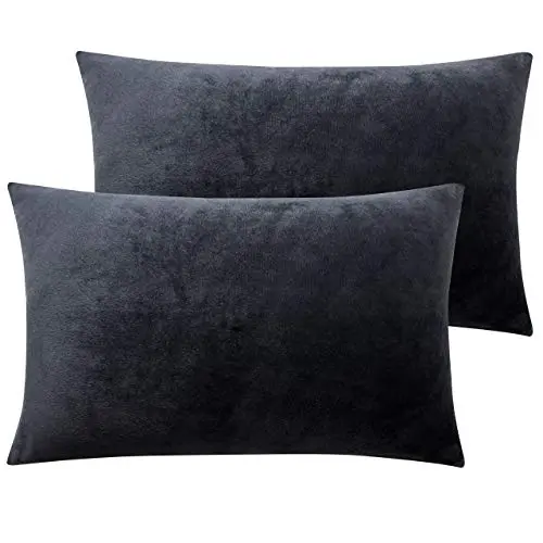 NTBAY 2 Pack Zippered Velvet Queen Pillowcases, Super Soft and Cozy Luxury Fuzzy Flannel Pillow Cases with Zipper, 20x30 Inches, Charcoal Grey