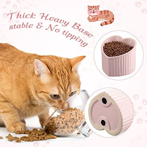 Mumufy 2 Pcs Ceramic Elevated Cat Bowls Tilted Elevated Raised Pet Bowls Anti Vomit Cat Dish for Indoor Stress Free Water Dish Feeder for Puppies, Heart Shaped(Pink, White) 5