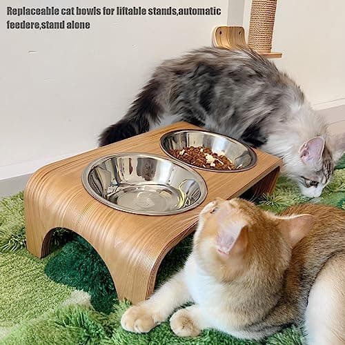4 Pcs Stainless Steel Cat Bowls, 5.5 Inch Whisker Friendly Shallow Cat Food Bowls, Small Metal Pet Dish for Kittens and Indoor Cats, Basic Replacement Plates for Elevated Feeder Stands,Dishwasher Safe 7