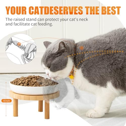 Lusifaco Shallow Elevated Cat Bowls,5.9 Inch Wide Raised Ceramic Cat Dishes with Bamboo Stand, Whisker Friendly Pet Water or Food Plates Feeding Station for Indoor Cats, Kitten(White,Set of 2) 9
