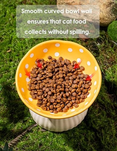 Whimsicalfox Raised Cat Bowl, Cute Mushroom Pet Feeder, Elevated Small Dog Food Bowl, Ceramic Raised Pet Bowls for Food and Water, Wide Shallow Cat Dish, Whisker Fatigue (Red) 6