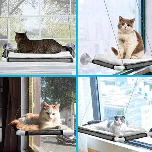 Cat Window Perch, Cat Hammock Window Seat w/Free Fleece Blanket 2026 Latest Screw Suction Cups Extra Large Sturdy Bed Resting Seat Hold Two Large Cats White Indoors (One Extra Suction Cup 8