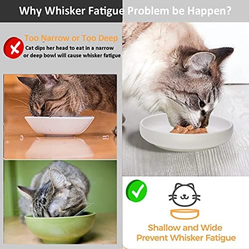 Ceramic Cat Bowls,Shallow Cat Dishes for Food and Water, 6 inch Matte Finish Wide Cat Food Bowl,Whisker Fatigue Free Pet Puppy Kitten Bowl Set of 3,Dishwasher Safe 5