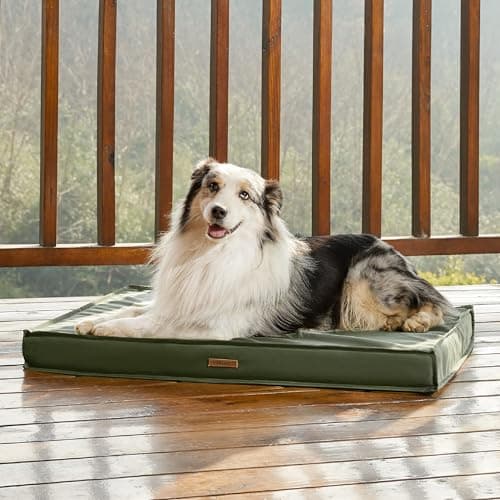 LE SURE Outdoor Waterproof Dog Beds Large Sized Dog, Orthopedic Egg Crate Foam Pet Bed with Oxford Fabric Surface and Removable Washable Cover, Pet Mat 36''x27'', Green 7
