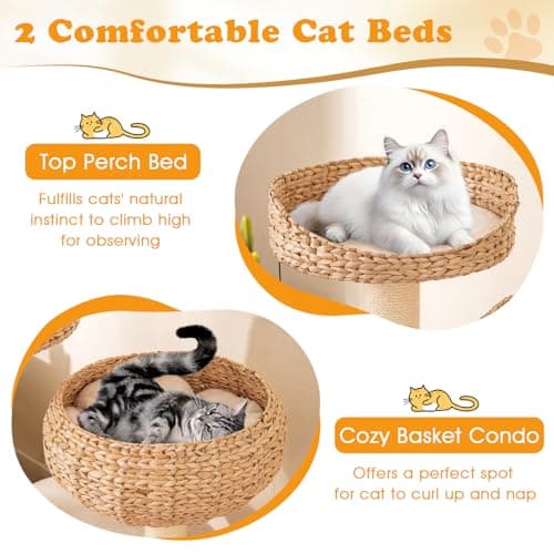 PETSITE 41 Inch Modern Cat Tree for Indoor Cats, Multi-Level Cute Cat Tree with Scratching Posts, Hand-Made Wicker Cat Condo & Top Perch, Dangling Ball, and Sisal Rope, Beige 5