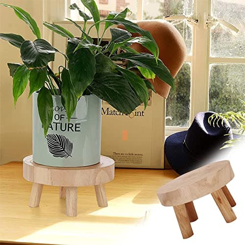 AOTISBAO 5.5IN Small Solid Wood Garden Plant Pot Riser Display Stands Flower Pot Holder Indoor Round Plant Stand for Indoor Outdoor Patio Garden(Mini Models) 7