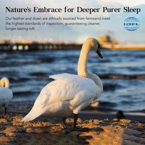 Down Fiber Comforter Oversize King Size,Premium Ultra-Soft Breathable Comforter High Fill Power White Duvet Insert,All Season Hotel Luxury Bedding Comforters 8 Corner & Center Loops,Baffle Box Design 7