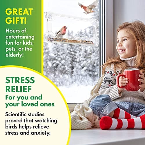 D.F. Omer Window Bird Feeder with 3 Section Tray and Roof Cover, Weatherproof Outdoor Suction Cup Hanger Acrylic Plastic Bird Feeder , Clear 6