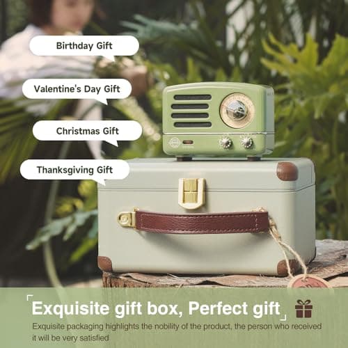 Muzen Portable Bluetooth Speaker, OTR Metal Vintage Small Wireless Speaker, FM Retro Radio with Antenna AUX, High Fidelity Stereo Audio with Suitcase, for Gift Home Outdoor 6