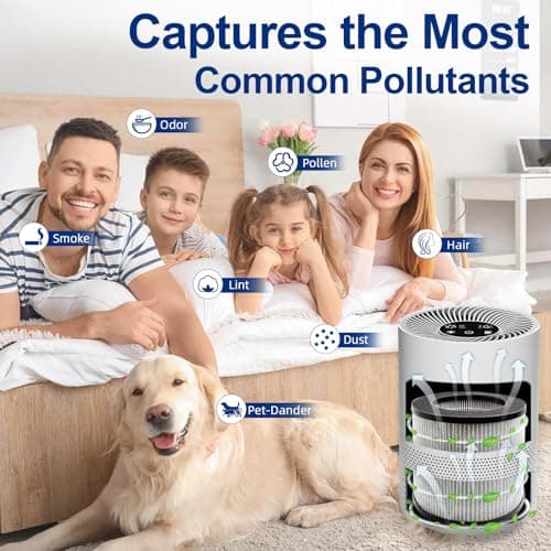 2801 Replacement Filter Compatible with Bissell MYair Personal Air Purifier 2780 2780A 2780B 2780P and 27809 - Compare to My Air Part 2801, High Efficiency Activated Carbon Filters (2 Pack) 5