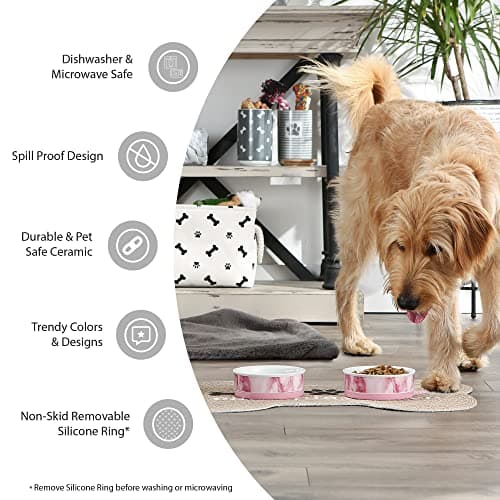 Bone Dry Trellis Paw Print Pet Bowl Set Microwave & Dishwasher Safe, Non-Slip Silicone Bottom for Less Mess, Large 7.5x2.4, Bubble Gum, 2 Count 6