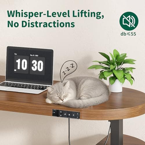 Xyulmeo Mid Century Modern Electric Standing Desk with Storage, 55 x 22 Inch Small Sit Stand Up Desk, Wood Adjustable Height Computer Executive Desk for Home Office, Laptop, Walnut 6