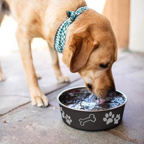Loving Pets Bella Dog Bowls- Stainless Steel Dog & Cat Bowls - Spill Proof Dog Food Bowl, Cat Bowl, Puppy Essentials & Pet Supplies Great for Home & Travel (Medium 20-35 lbs, Espresso) 7