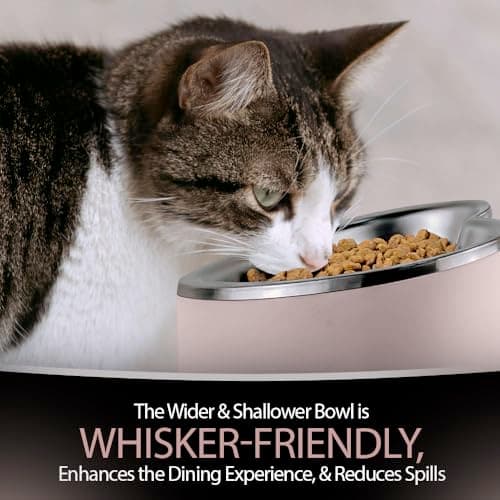 OCM Raised Cat Bowl – 8oz Heart Shaped Elevated Bowls, Stainless Steel, Non-Slip, Promotes Digestion, Reduces Vomiting, Indoor Cat & Small Dog Bowls (Pink) 5