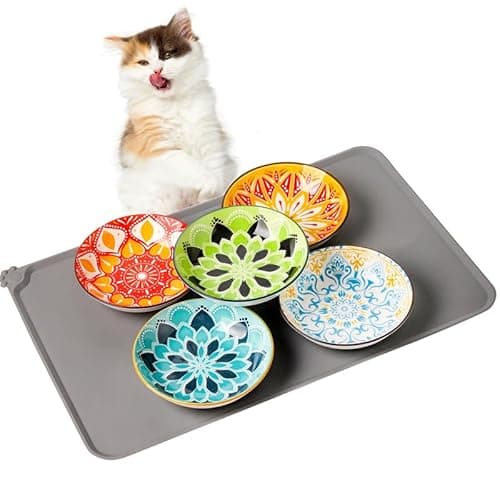 Boho 5 Ceramic Cat Bowls with Silicone Mat, 5.5 inch Wide Shallow Cat Food Bowl for Whisker Relief