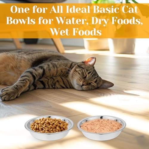 3Pcs Stainless Steel Cat Bowl, 5.5 Inch Metal Cat Food Bowl, Cat Bowls Whisker Friendly, Shallow Wide Flat Cat Food Bowls, Replacement Basic Cat Plates, Metal Basic Cat Bowls, Small Cat Bowls Wet Food 6