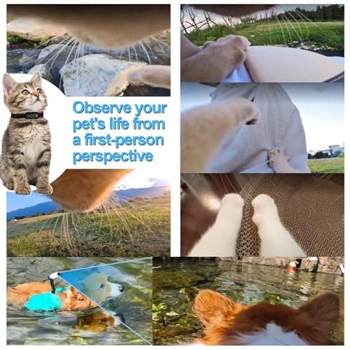 PLAYIKO 4K HD Thumb Vlog Camera for Pet, Portable Mini Action Camera with 10 Accessories for Sport, Content Creators, Underwater, Motorcycle Helmet, Cat Doggy Collar with Phone App 128G Card (Black) 6