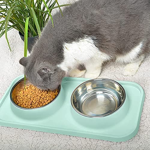 L.D.Dog Cat Food Bowls, Cat Bowls Non-Skid and Non-Spill Silicone Pads with PP Stand, Removable Stainless Steel Food and Water Dishes for Cats, Small Size Dogs 6