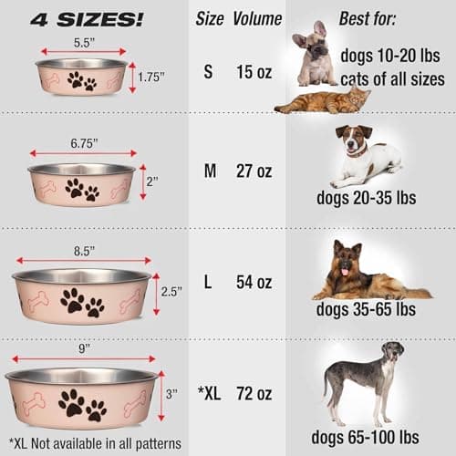 Loving Pets Bella Dog Bowls- Stainless Steel Dog & Cat Bowls - Spill Proof Dog Food Bowl, Cat Bowl, Puppy Essentials & Pet Supplies Great for Home & Travel (Medium 20-35 lbs, Paparazzi Pink) 8