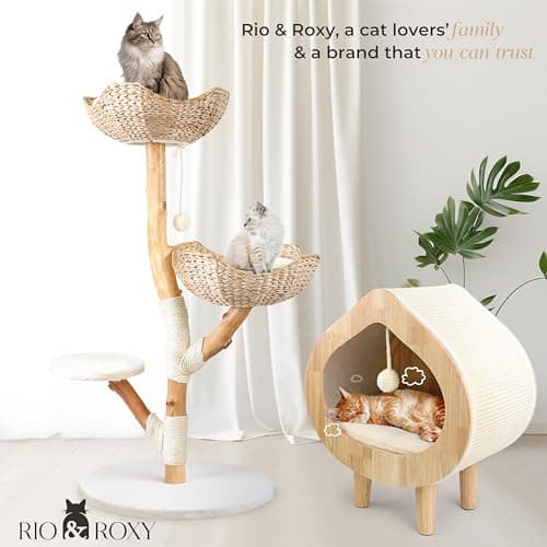 Real Wood Modern Cat Tree Tower for Indoor Cats Large Adult, Wooden Kitty Climbing Tower with Scratching Post and Bed, Boho Aesthetic Luxury Pet Furniture by Rio & Roxy 8