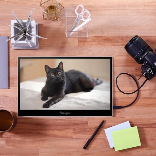 Acer Portable Monitor | 15.6" FHD IPS | Adaptive-Sync Support (FreeSync Compatible) | Slim Design | External Monitor for Laptop PC/Mac | 2 x USB 3.1 Type-C Port, HDMI 1.4 & Audio Out | PM161Q B1bmiuux 6