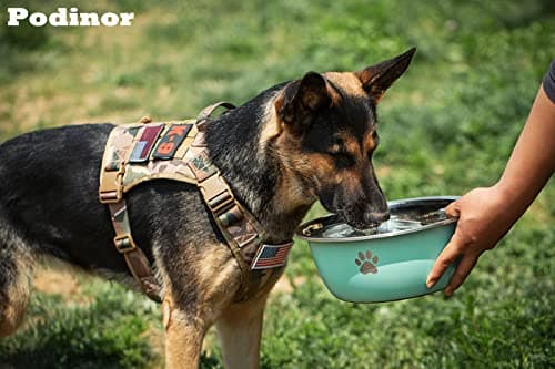 Podinor Large Dog Water Bowl 2 Pack, 1.3 Gallons 170oz Stainless Steel Extra Large Dog Food Bowl for Big Giant Dogs, Black 6