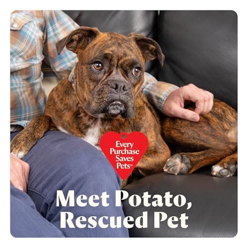 BISSELL Little Green Mini Cordless Portable Carpet and Upholstery Deep Cleaner, Car/Auto Detailer, with HydroRinse Self-Cleaning Tool and 4" Tough Stain Tool, 4015 7