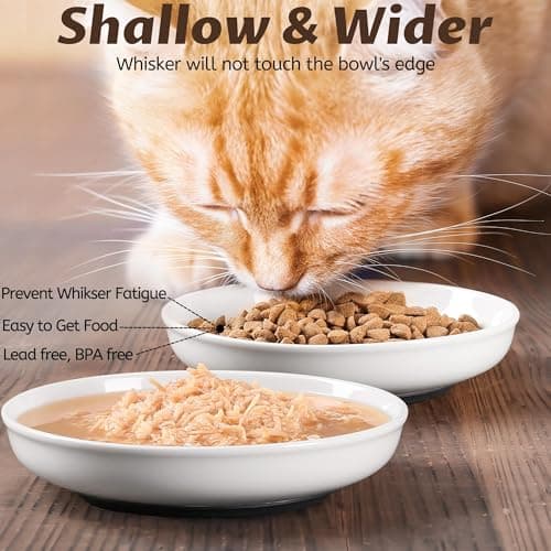 WROSWT No Spill Cat Bowls,Cat Food Bowl,Anti Whisker Fatigue Healthy Ceramic Cats Dishes Set for Indoor Cats,Shallow Wide Kitten Plates for Food and Water,Non-Slip Silicone Bottom,3 Pack 6