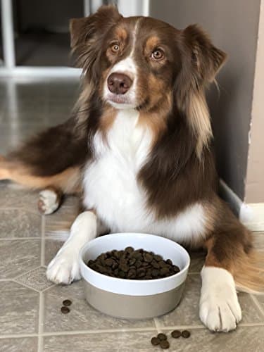 Waggo Dipper Ceramic Dog Bowl for Small and Large Breeds - Heavyweight and Durable Pet Food and Water Dish Crock, Dishwasher Safe, Modern (Vintage Grey, Large) 5