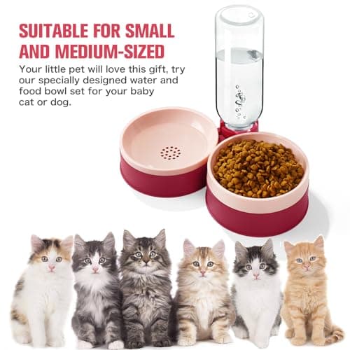 Cat Food Bowl, Cat Bowls Whisker Friendly with Water Dispenser for Cats and Small Dogs 8