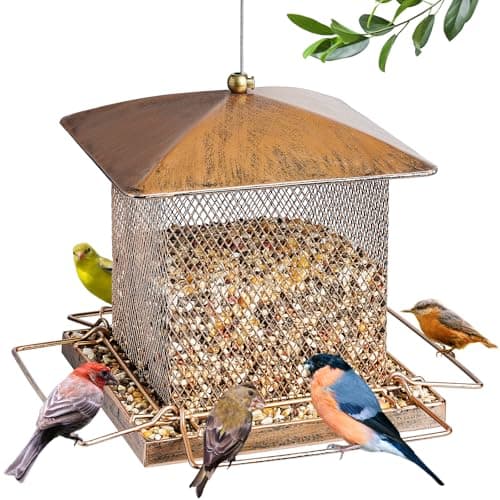IWNTWY Bird Feeder, Heavy Duty Metal Bird Feeders for Outdoor Hanging, Wild Birdfeeder with Buckle for Garden Yard Outside Backyard, 3.5LB Large Capacity