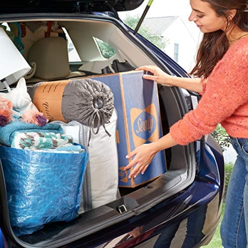 Sealy TrueForm 3" Memory Foam Mattress Topper, Twin XL 6