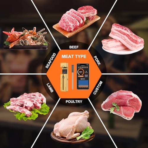 Wireless Meat Thermometer Bluetooth with Ceramic Probe for Grilling/Cooking/BBQ - Waterproof Digital Oven Food Thermometer, 600Ft Range & Smart App Compatibility iOS/Android/Air Fryer 9