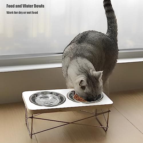 4 Pcs Stainless Steel Cat Bowls, 5.5 Inch Whisker Friendly Shallow Cat Food Bowls, Small Metal Pet Dish for Kittens and Indoor Cats, Basic Replacement Plates for Elevated Feeder Stands,Dishwasher Safe 6