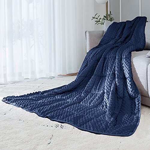 ALANSMA Reversible Weighted Blanket for All Season, Luxury Velvet, Warm and Cool, Adult 10Lb Blue Weighted Blanket, Enjoy Sleeping Anywhere(Blue,48"x72" 10lbs)