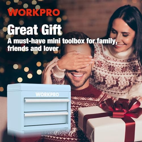 WORKPRO Mini Metal Tool Box with 2 Drawers and Top Storage, Small Tool Chest with PVC Liners and PP Feet Pads, Cold Rolled Steel Toolbox with Magnetic Tab 8