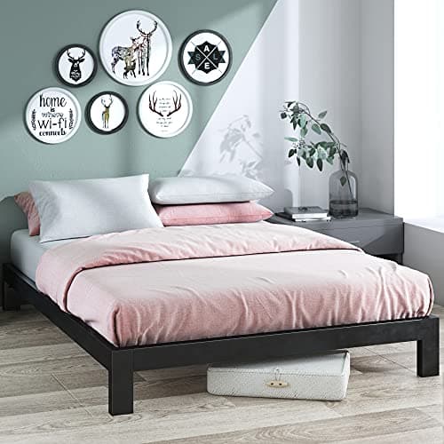 Sleep Master Platform Bed 2000, Queen